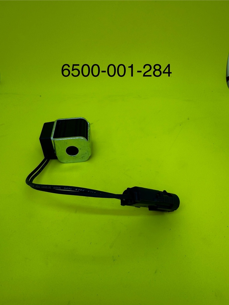 S8LW6D024 A VALVE COIL